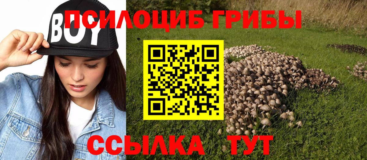 Галлюциногенные грибы MAGIC MUSHROOMS  Вход с VPN  Камышин 