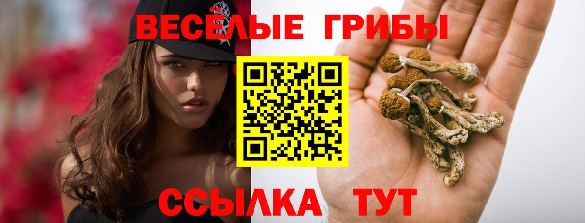 Галлюциногенные грибы мухоморы Камышин