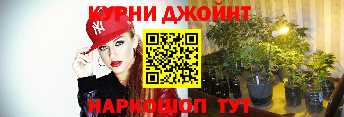 Конопля SATIVA & INDICA Камышин